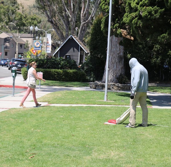Caretakers, Laguna Beach
