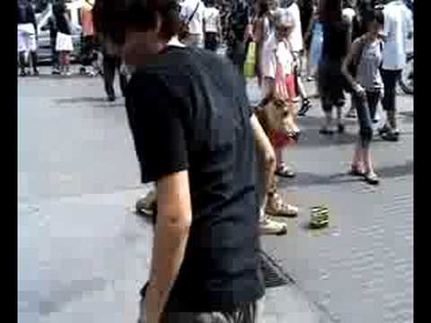 The Golden Ass, Barcelona 2008